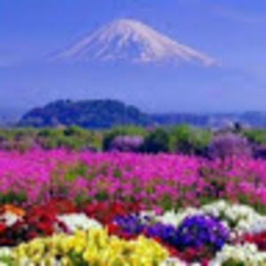 Meet your Posher, Massi